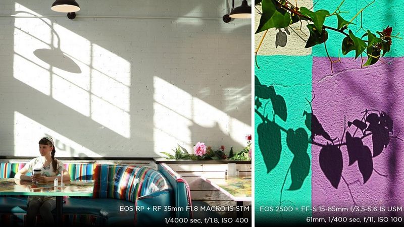 A composite picture: a young woman sitting in a café, with the shadow of the windows on the wall behind her in one shot; and a stem with leaves and its shadow against a multi-coloured wall in the other.