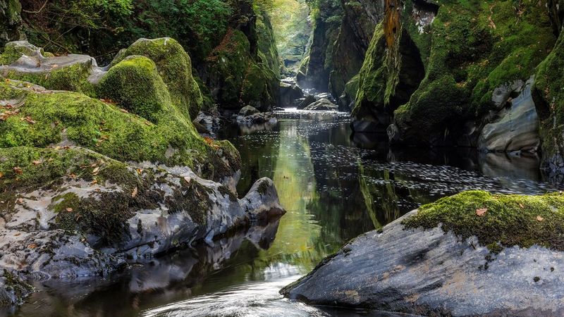 A river flowing through a landscape of mossy rocks.