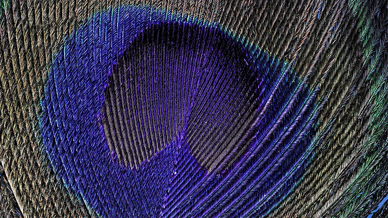 Οι φακοί RF επιτρέπουν νέους τρόπους εργασίας