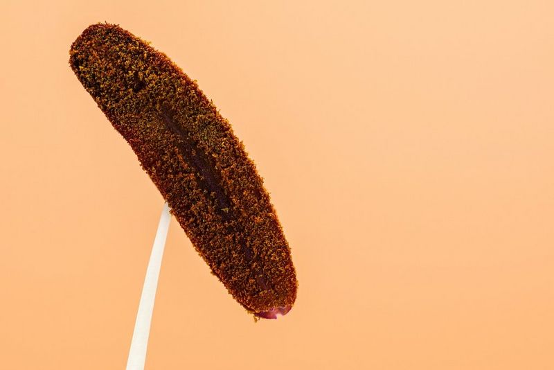 צילום תקריב של אבקן פרח המורכב מ-100 פריימים שצולם במצלמת Canon EOS R10. הפריימים נערמו על-ידי השימוש בפונקציית שילוב העומקים של תיחום המיקוד בתוך המצלמה. הצילום צולם על-ידי מאט דוּג.