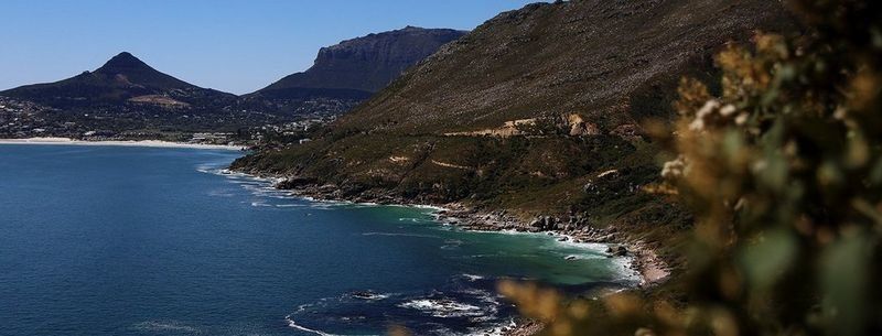 A coastal landscape shows deep blue sea meeting tree-lined cliffs.