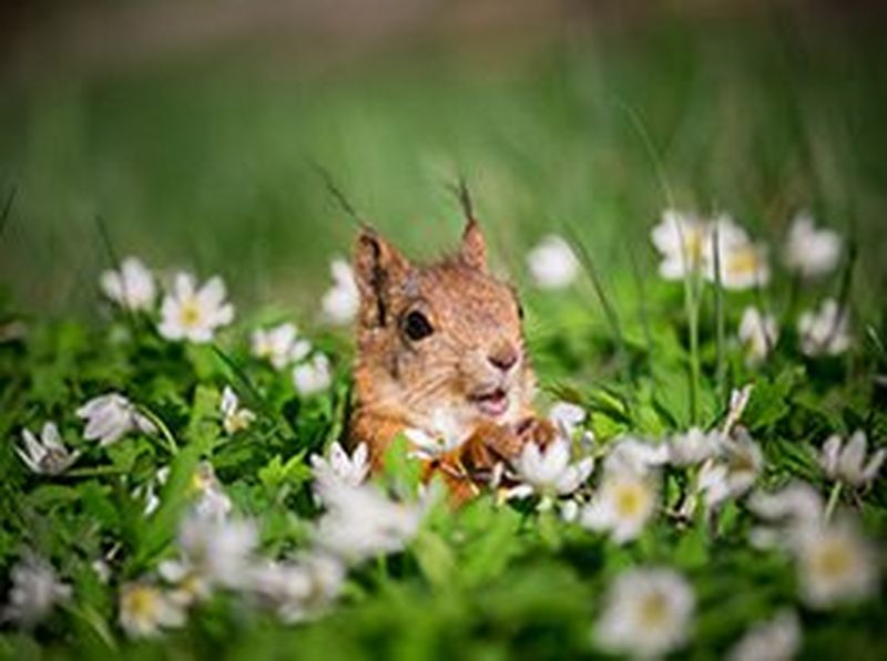 canon-get-inspired-urban-nature-photography-tips-1-263x196