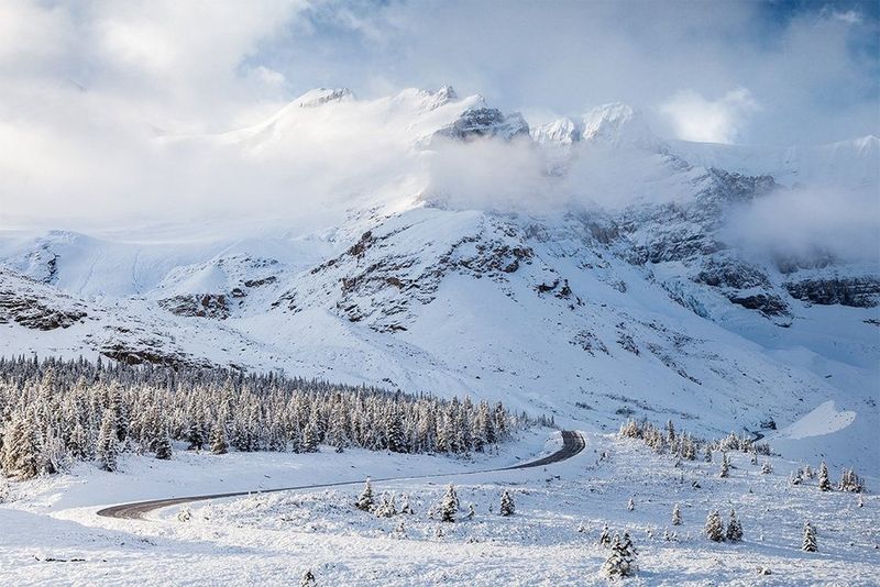 Mist-shrouded mountain peaks covered in snow with pine trees at their feet in Banff National Park.