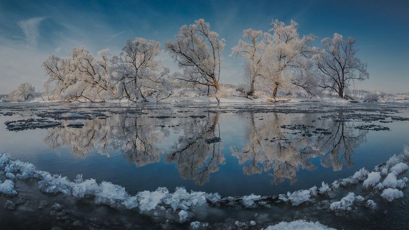 Snow-covered trees reflected in the clear water of a lake in Banff National Park. Photograph by Vladimir Medvedev.