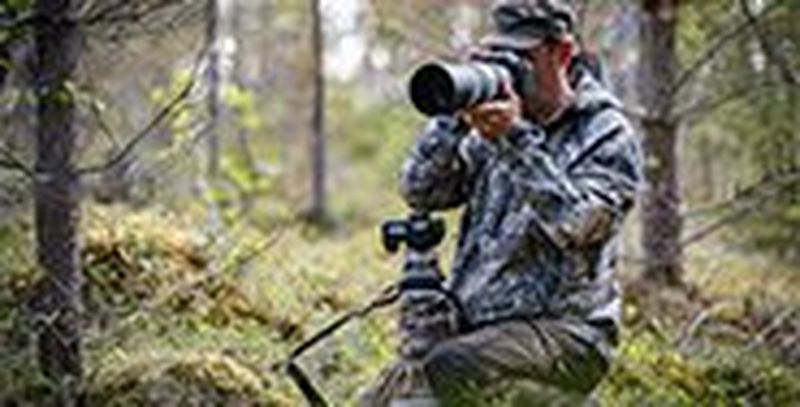 Powerful and fast wildlife photos with the Canon EOS 90D