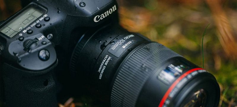 A Child, Her Hawk And A Macro Lens: Alessandra Meniconzi’s Best Shot
