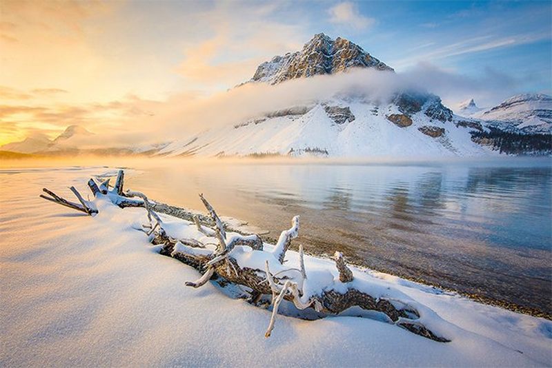 A log is covered in snow, by a lake in front of a mountain, partially obscured by cloud.