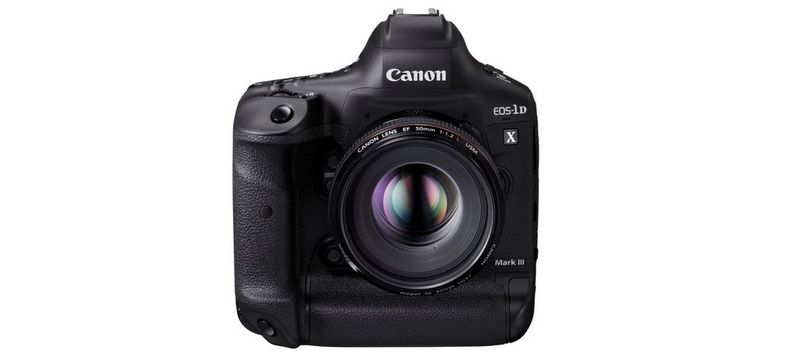 A Canon EOS-1D X Mark III on the bark of a tree. Photo © Fergus Kennedy / Verri Media Ltd