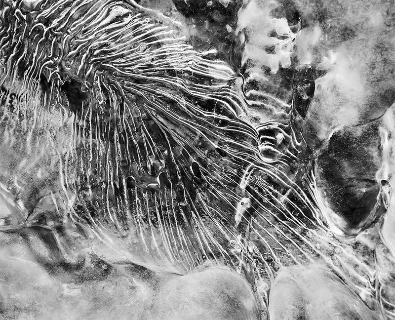 A close-up of a frozen puddle, with ripples in the ice forming leaf pattern.
