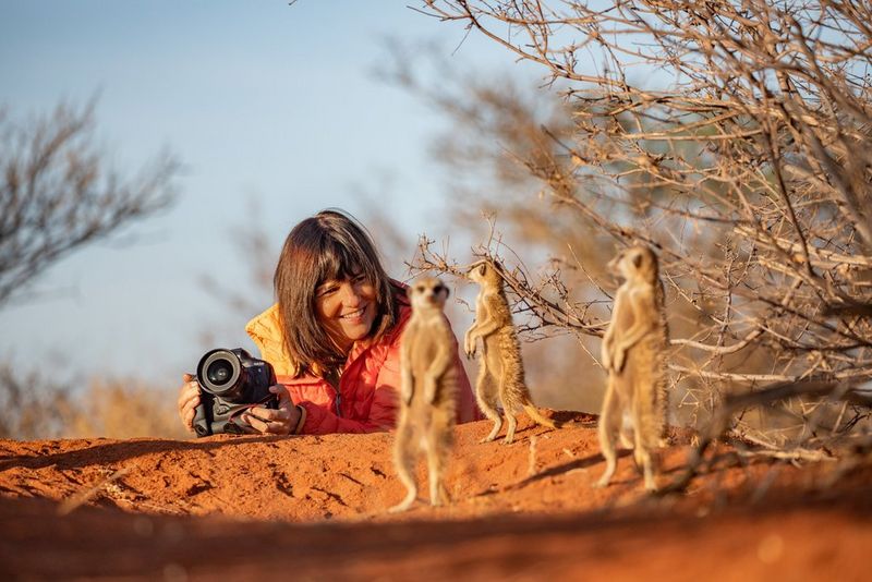 Marina Cano lying on the sand photographing surrounding meerkats.