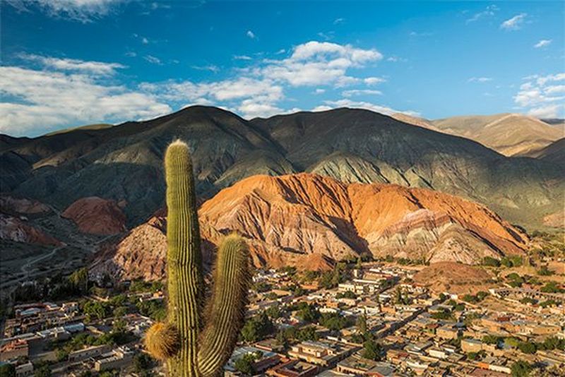 The stunning images that L-series lenses have helped capture