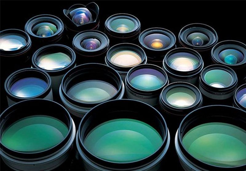 A portrait of a wild four-month-old bonobo in the Democratic Republic of the Congo.