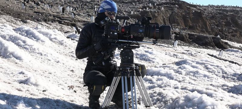 Sophie Darlington crouches in the snow with a Canon lens on a camera in front of a colony of penguins. 