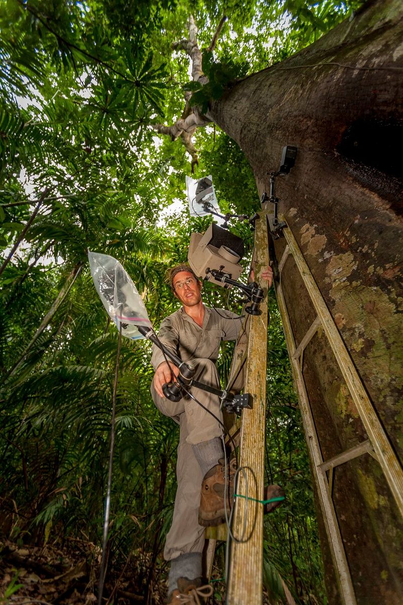 Christian Ziegler sets up flashes on a tree.