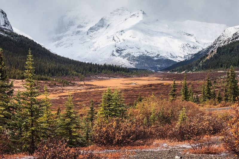 A snowy mountain rising above an autumnal forest. Taken by Vladimir Medvedev.