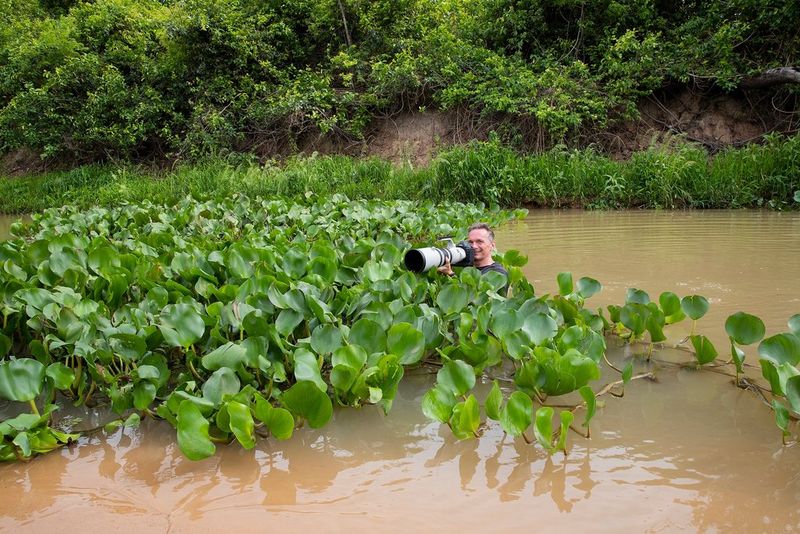 Wildlife photographer Thorsten Milse stands neck deep among the foliage in a Brazilian river.