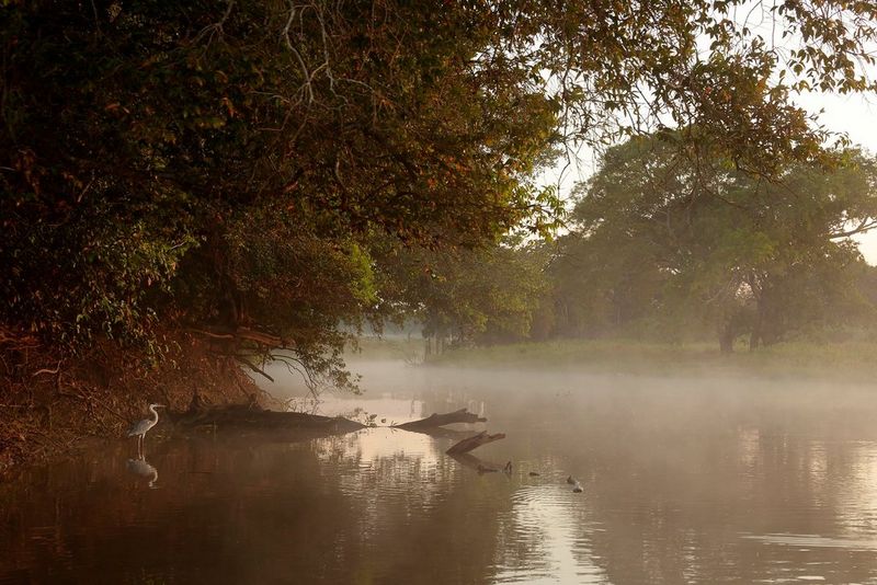 A wading bird stands in the shallows of a river in Brazil's Pantanal wetlands. Taken by Thorsten Milse.