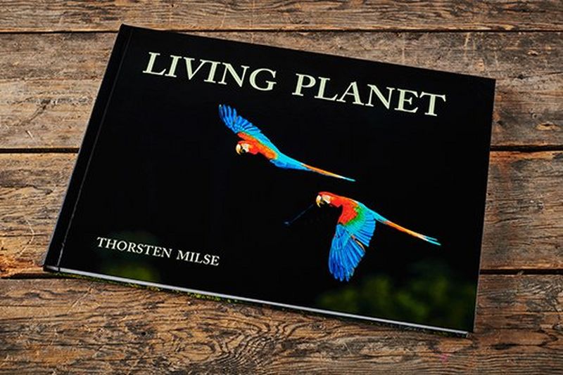 Bring your archive to life with a professional photobook