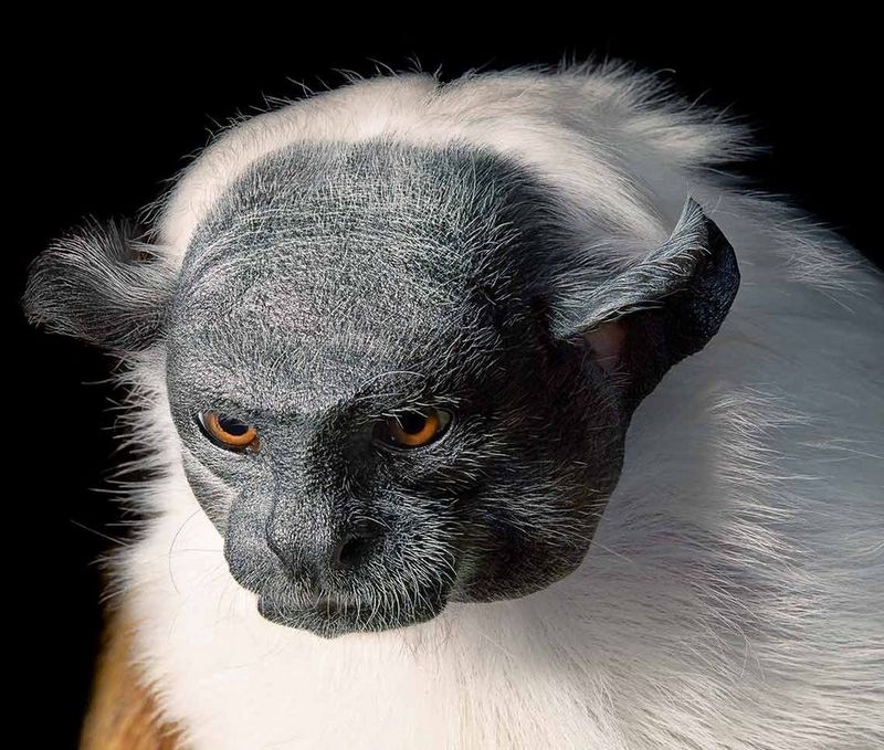 tim_flach_image1