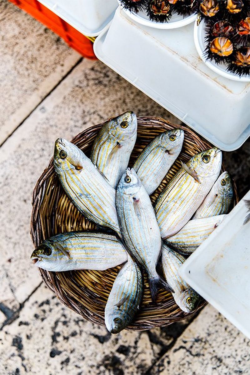 A wicker basket of fresh fish in an Italian fish market. Photo by Annapurna Mellor with a Canon EF 24-70mm f/2.8L II USM lens.