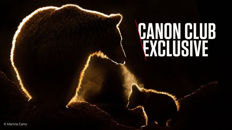 Deblochează și mai multe beneficii