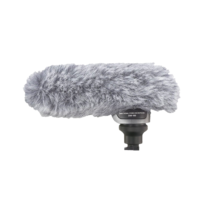 GX10 – Stereo Microphone DM-100