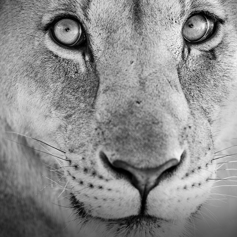 
       
       
       תוכננה לטיולים
     
     
     