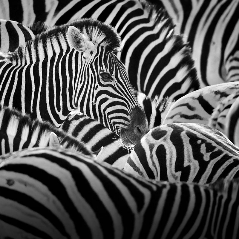 
       
       
       איכות תמונה מדהימה
     
     
     