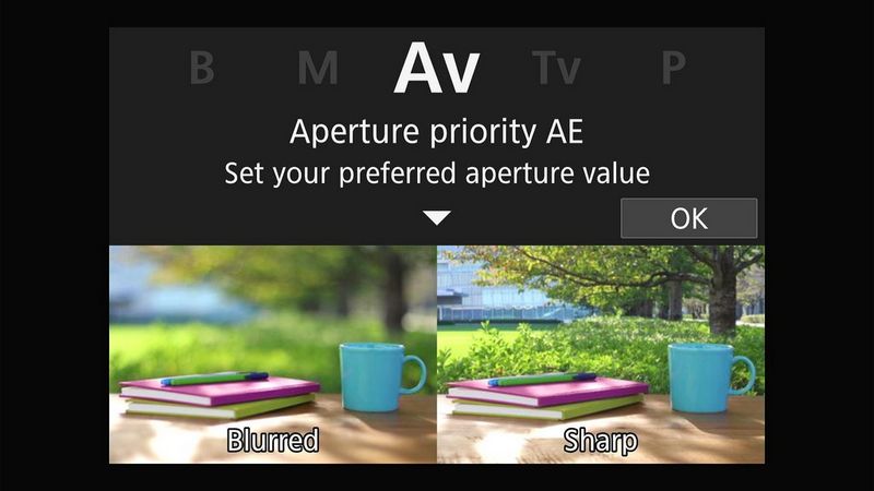 Leer en groei terwijl je fotografeert