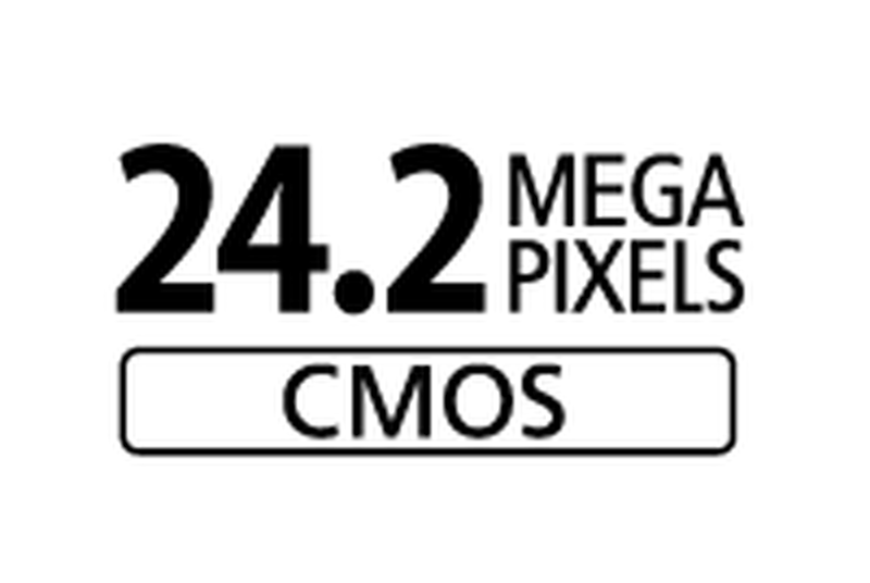 
         
         
         24,2МП
       
       
       