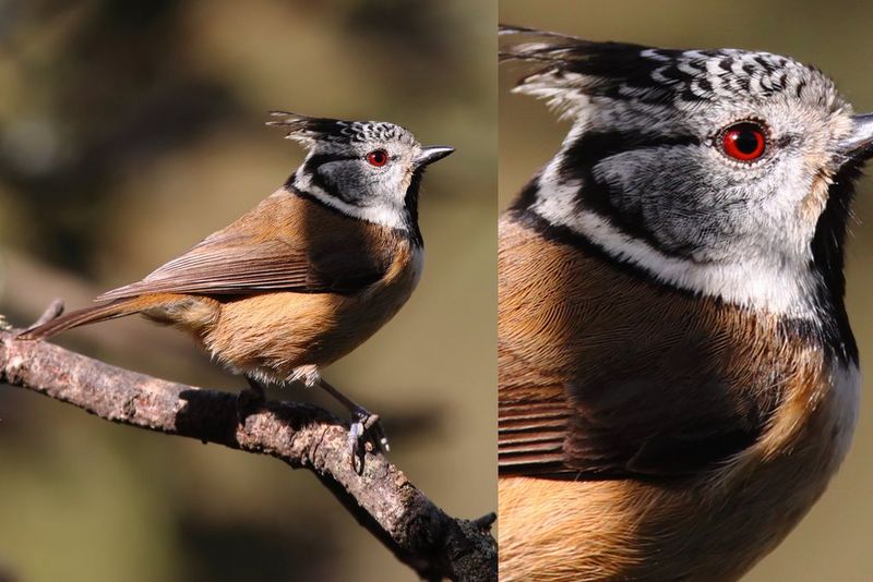 Il nuovo capitolo della qualità d'immagine