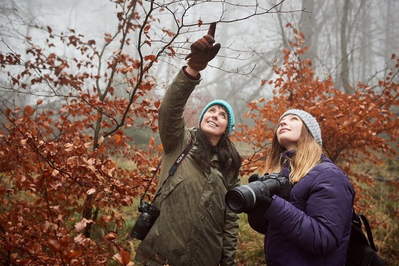 Two women in warm hats and coats and with Canon cameras stand in a forest looking up. One of them is also pointing up.