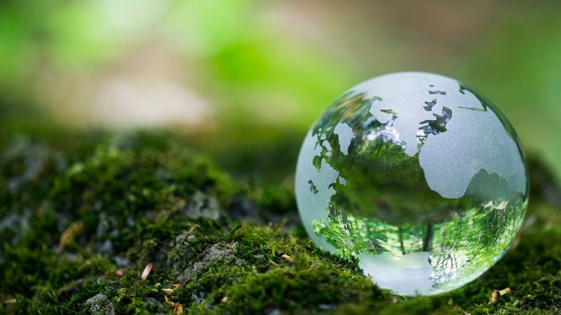 Canon_material graficzny