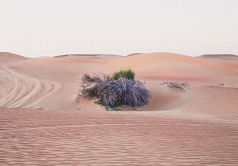 Women in photography: Felicity McCabe on facing fears and making memories