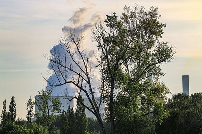 canon young people program