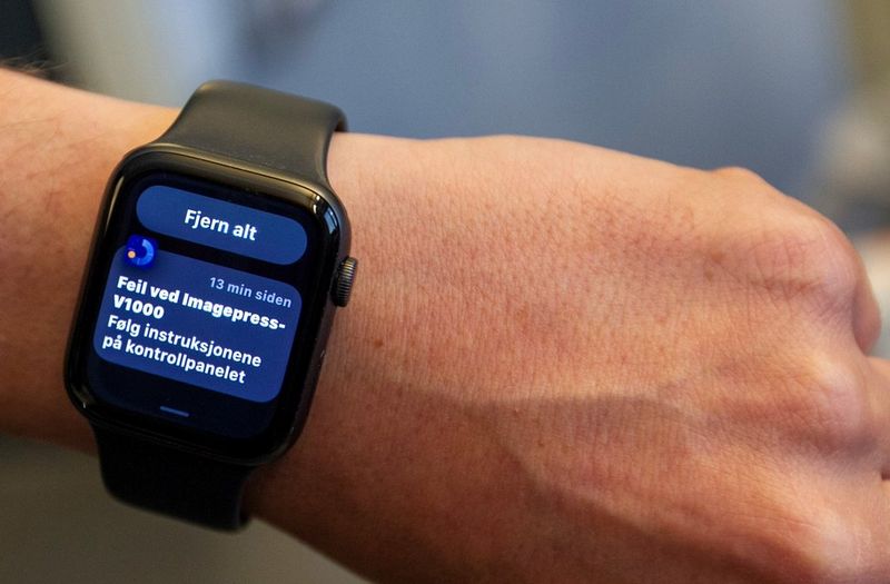 Case study - Dale-Gudbrands trykkeri