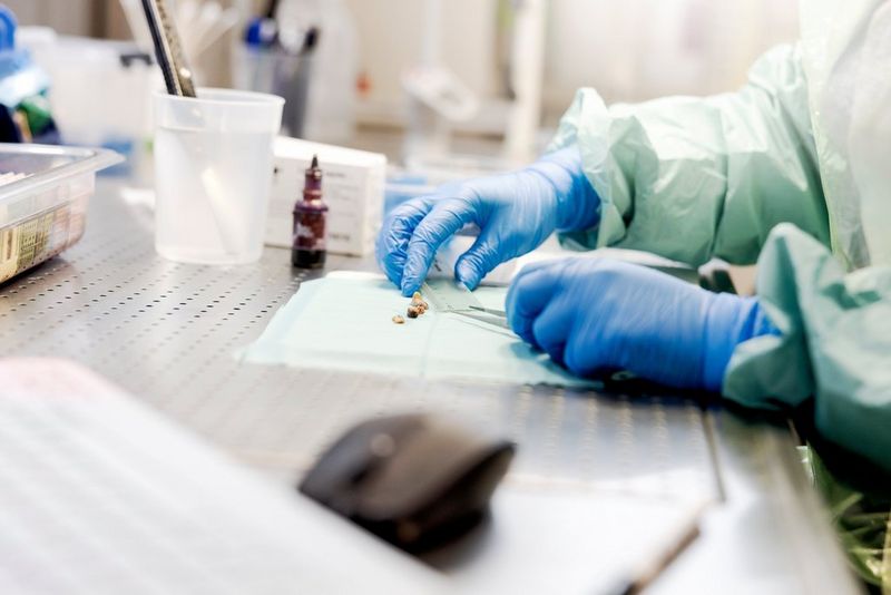 Close-up on healthcare workers hands