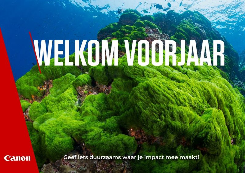 Blijf op de hoogte van toekomstige acties!