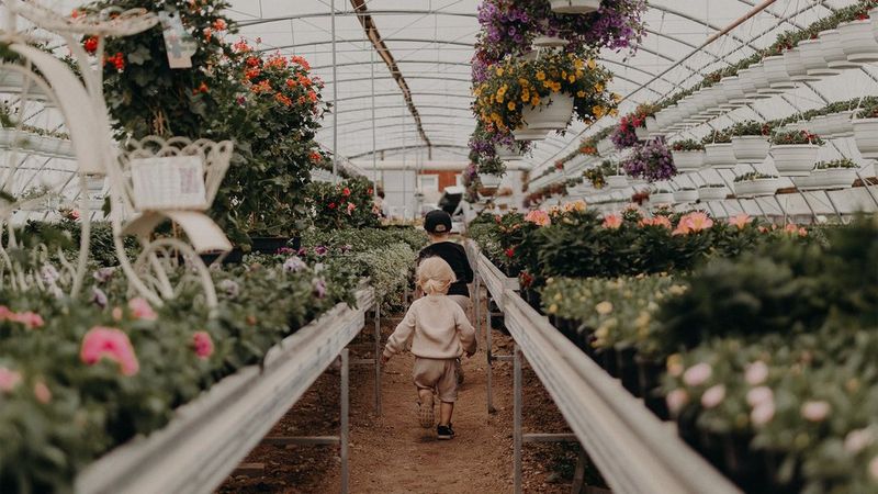 children-at-greenhouse-susanna-hynynen
