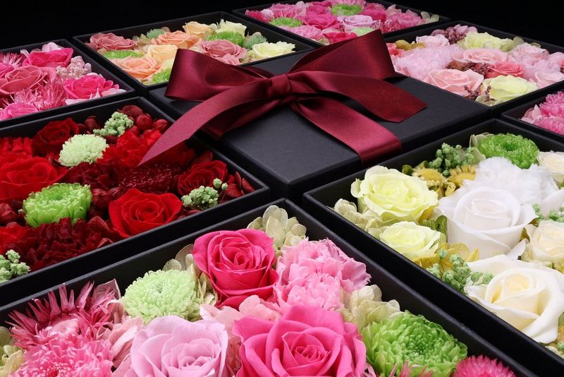 Крупный план лотков с цветами, снятый в режиме «Расширенный A+» на камеру Canon EOS R50.