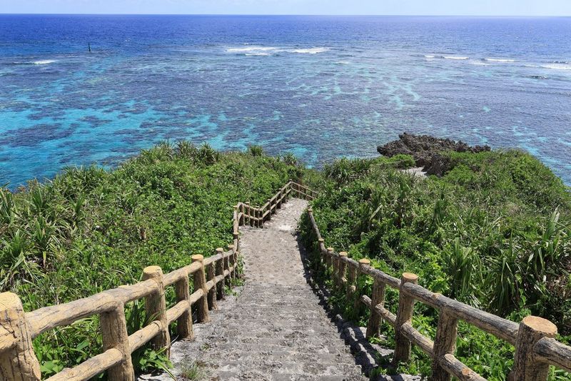 שביל מדרגות היורד דרך צמחייה ירוקה אל הים הכחול הנראה ברקע.