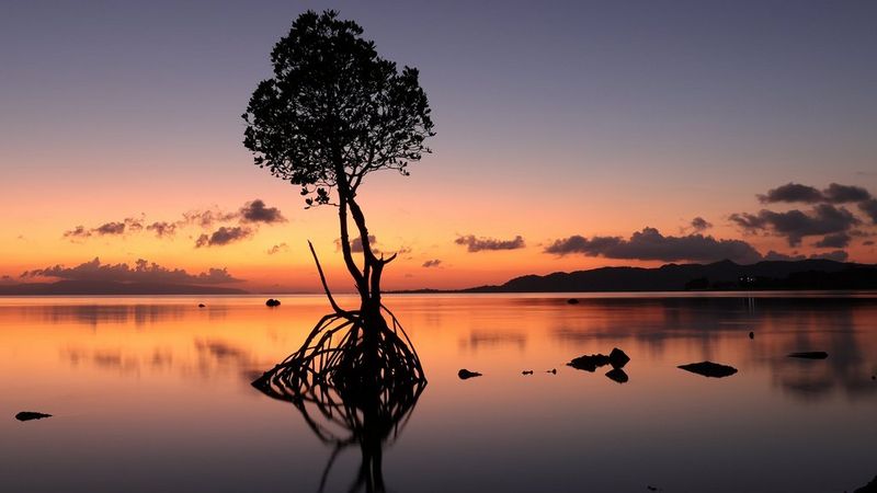 Maîtrisez la composition en photographie