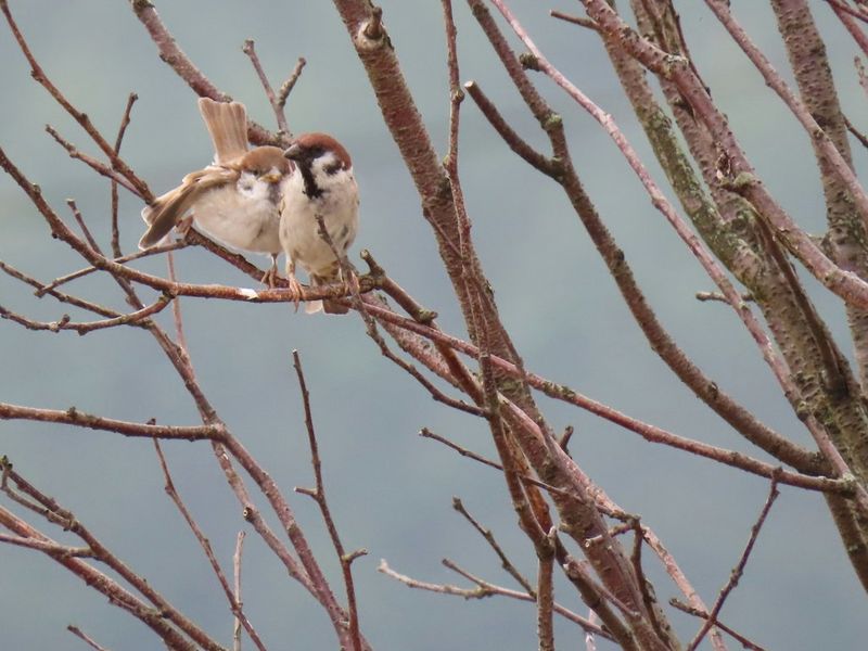 
       
       
       
       Bring the distance into focus
     
     
     
     