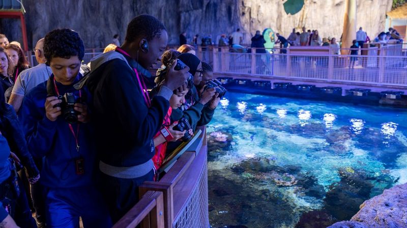 Een groep jongeren leunt over de reling van een aquarium en richt hun camera's om foto's te maken van het blauw oplichtende water onder hen.
