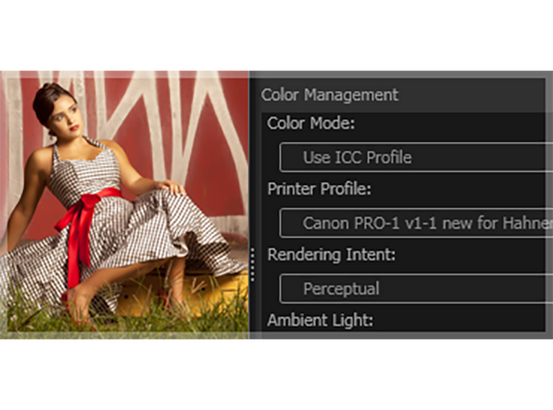 ICC Profiles for Canon Pro printers