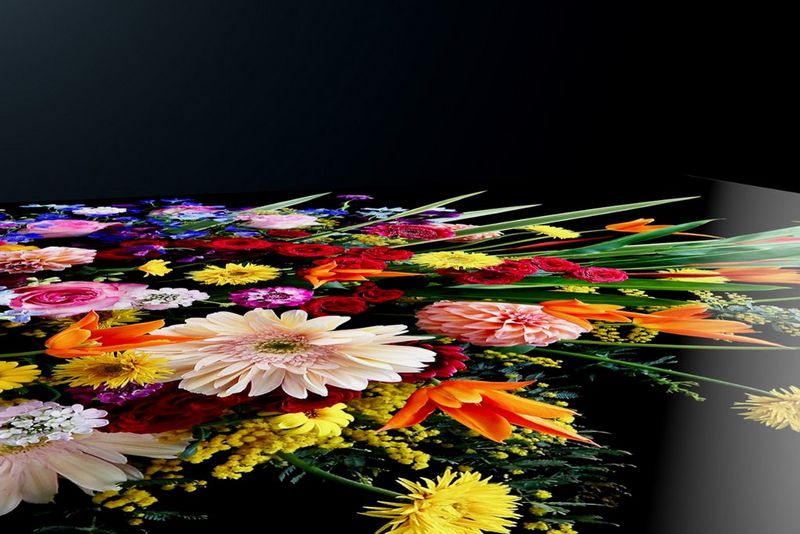 Large gamut de couleurs, dégradés de couleurs éclatantes