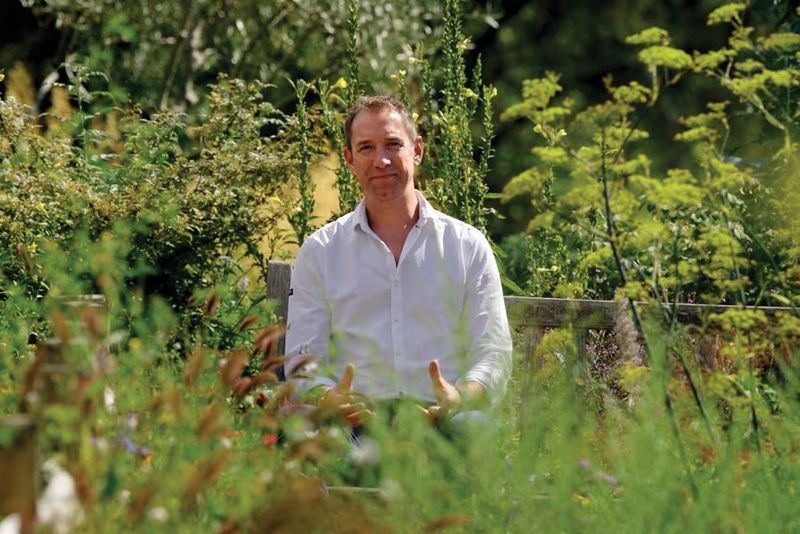 Z przedmieścia do rafy koralowej