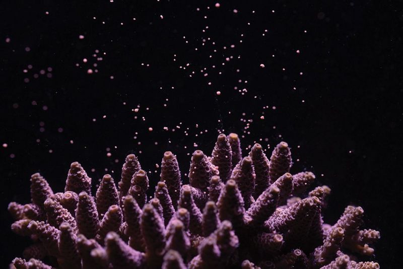 Zmieniamy świat obrazem