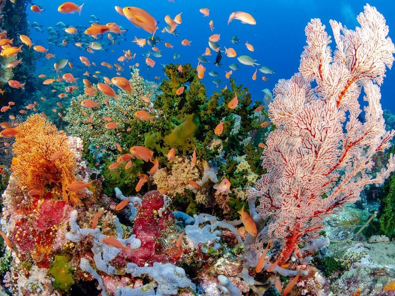 5 tipů Martina Strmisky, jak fotit pod vodou jako profesionál