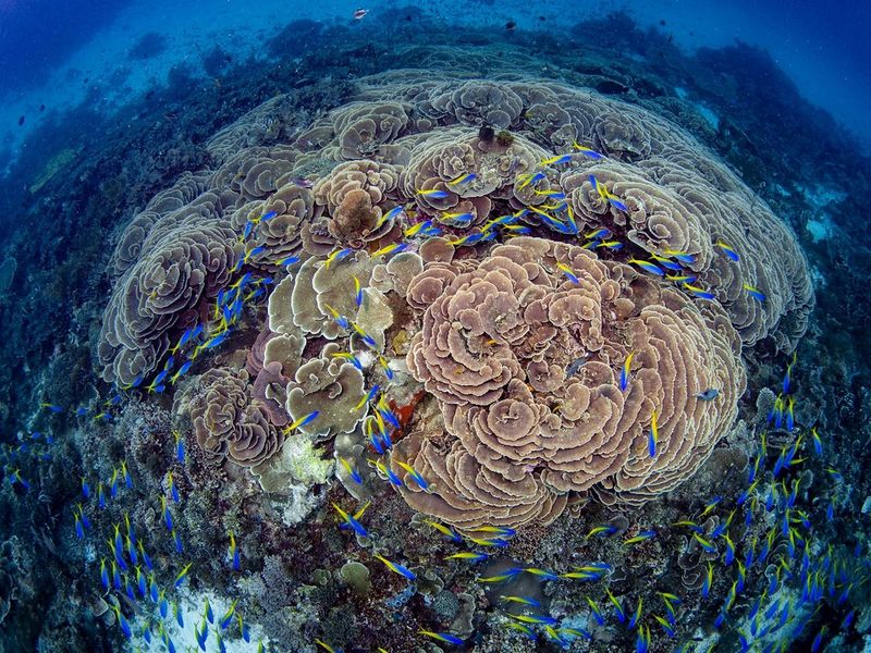 5 tipů Martina Strmisky, jak fotit pod vodou jako profesionál